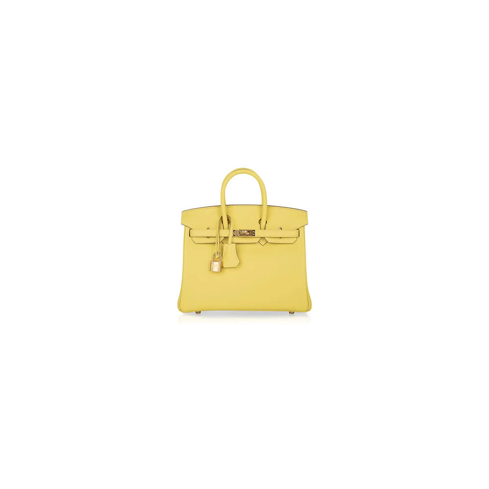 Hermes Birkin 25 Bag(Tax-Free GRADE)