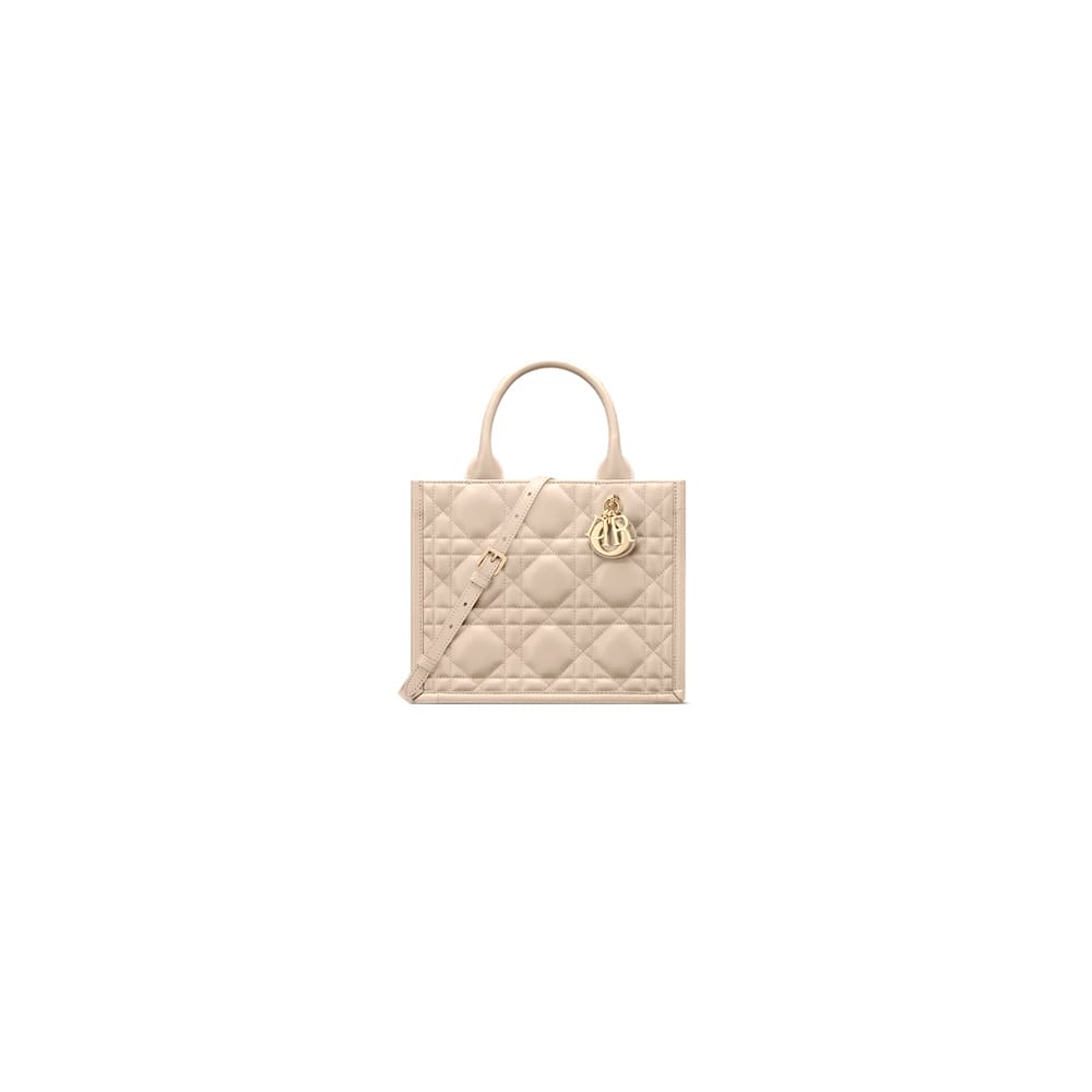 Dior Small Dior Book Tote