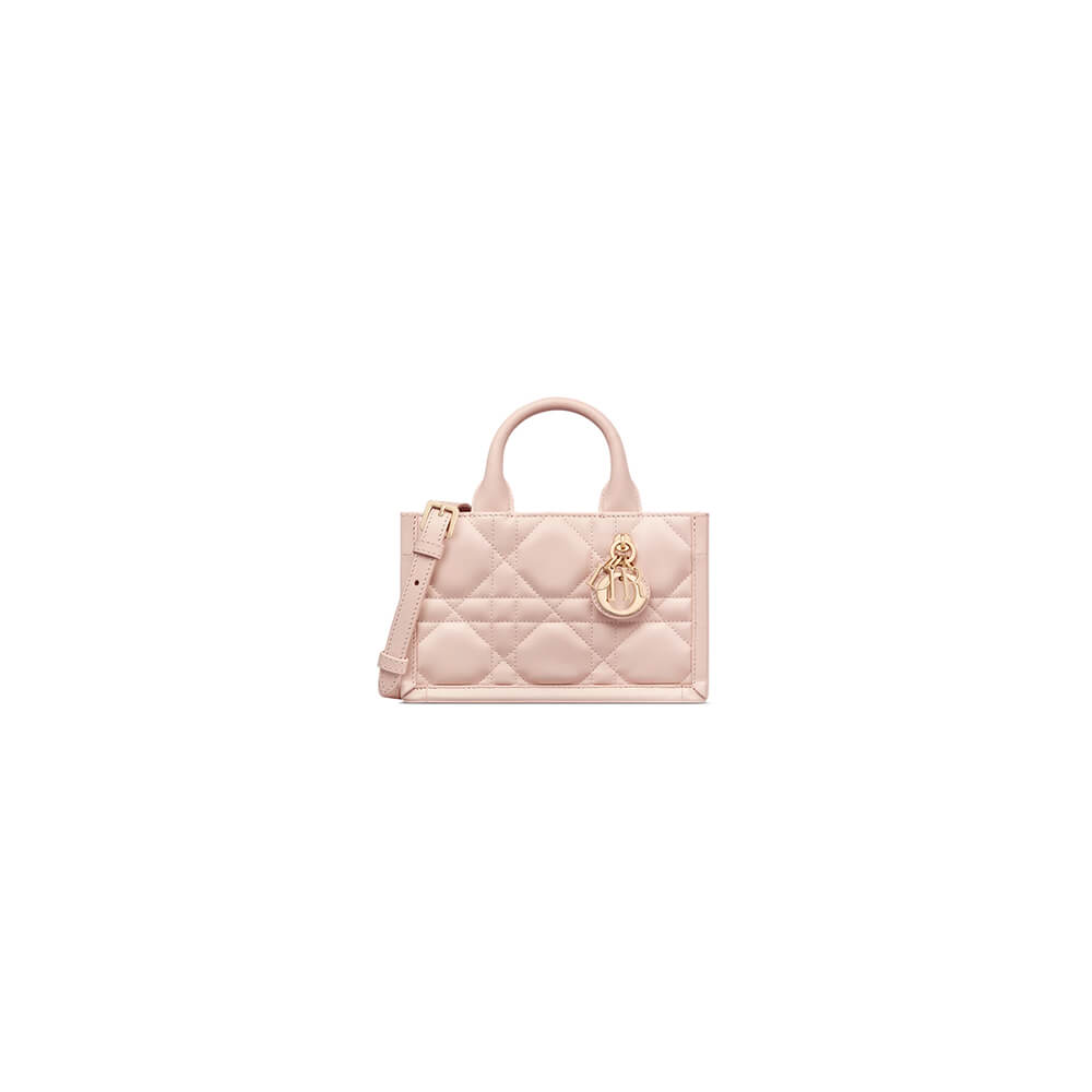 Dior Mini Dior Book Tote