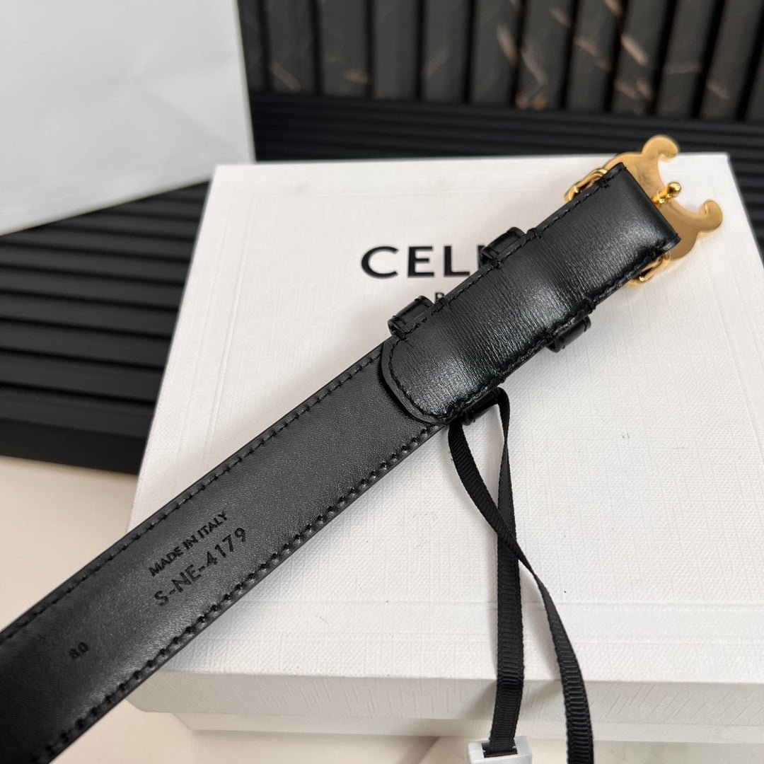 CELINE Black Triomphe Gold Belt - Image 8