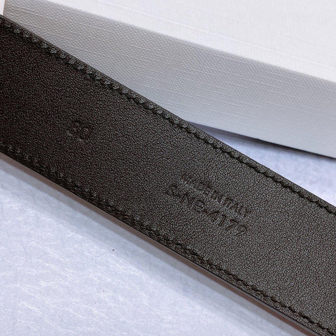 CELINE Brown Suede Silver Belt - Image 7