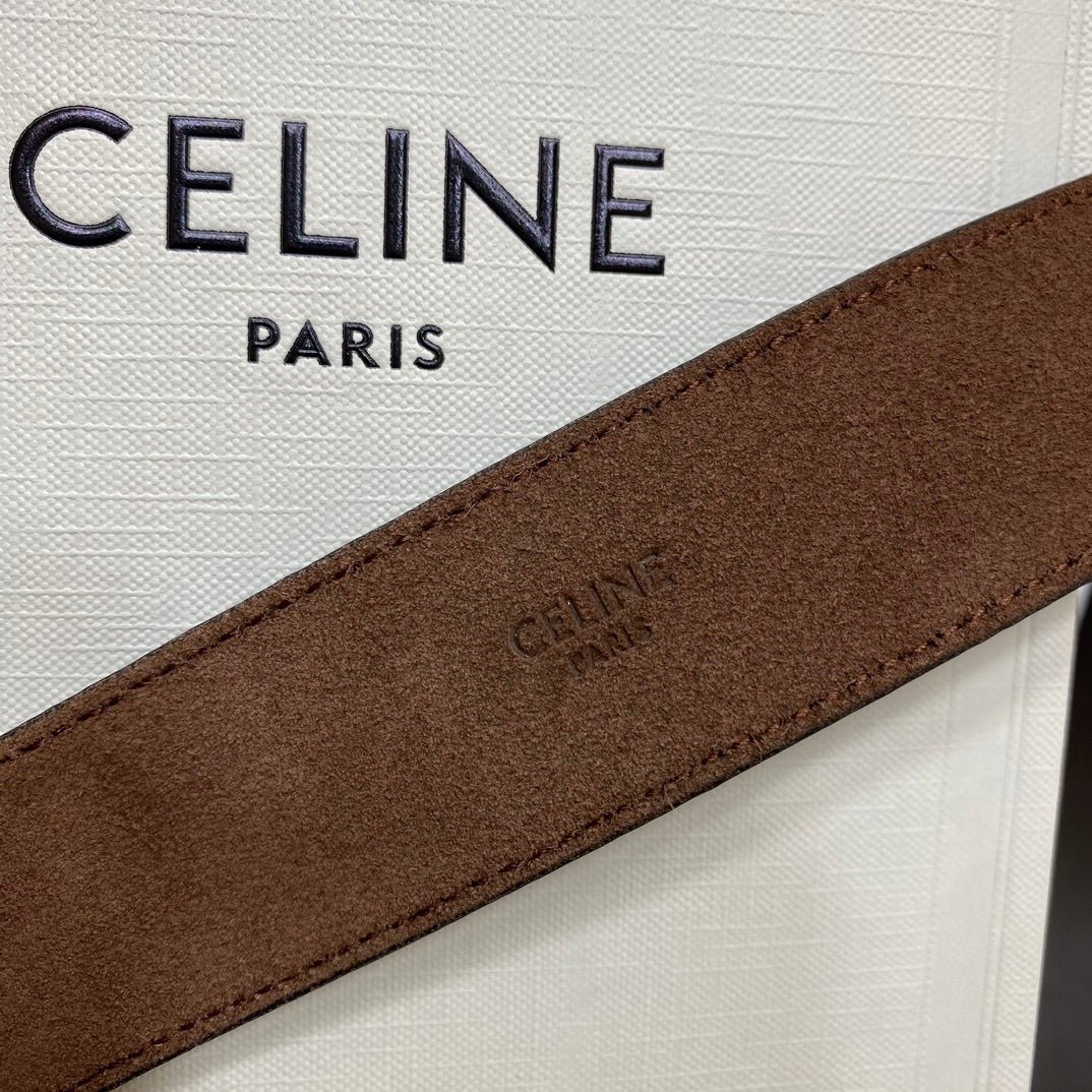 CELINE Monogram Triomphe Belt Bag - Image 9