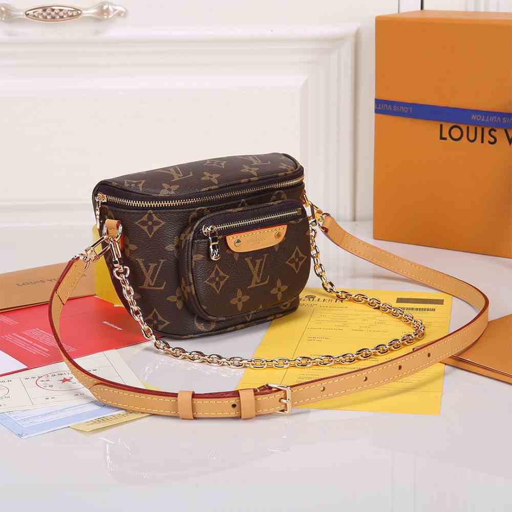 LV Mini Bumbag - Image 4