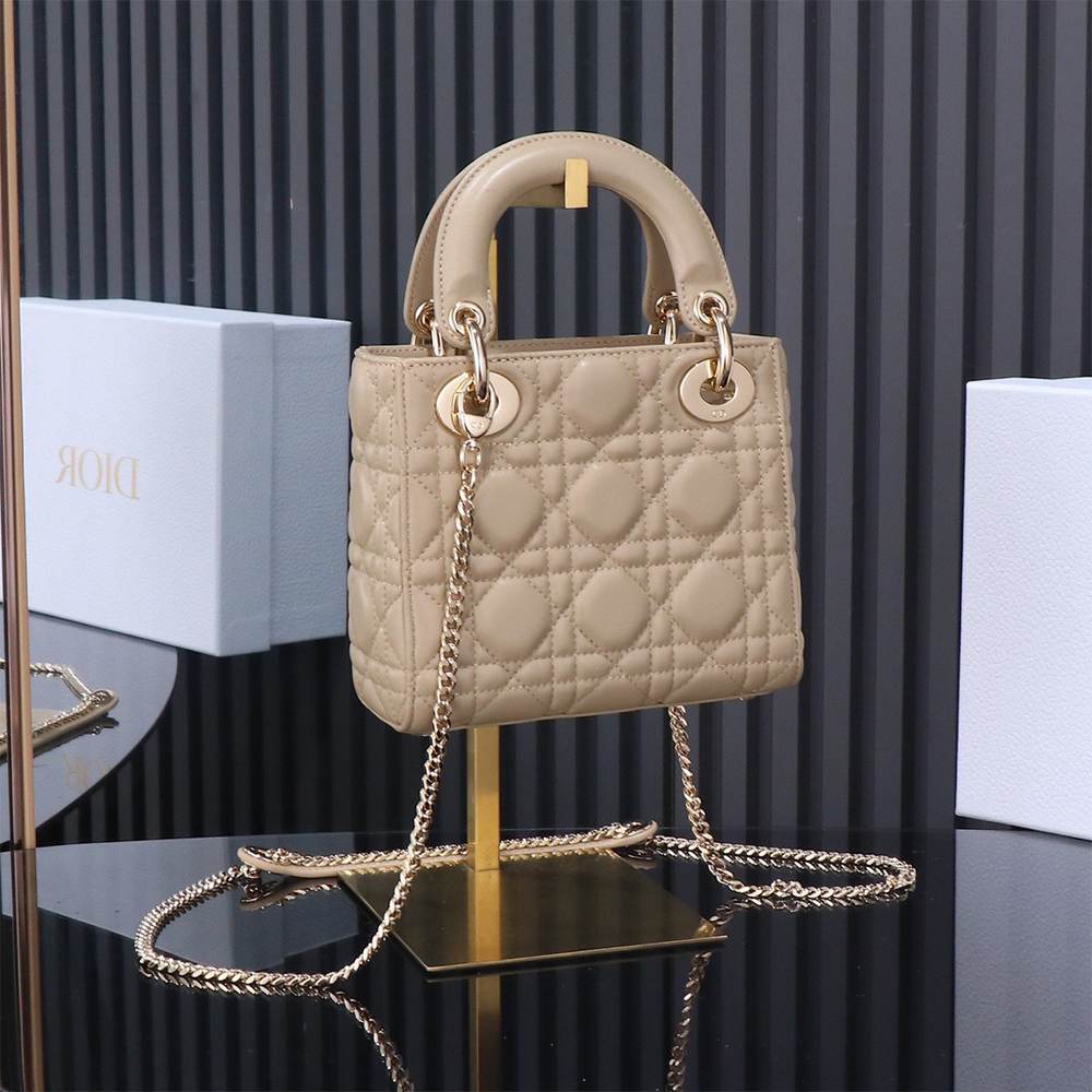 Mini Lady Dior Bag - Image 6