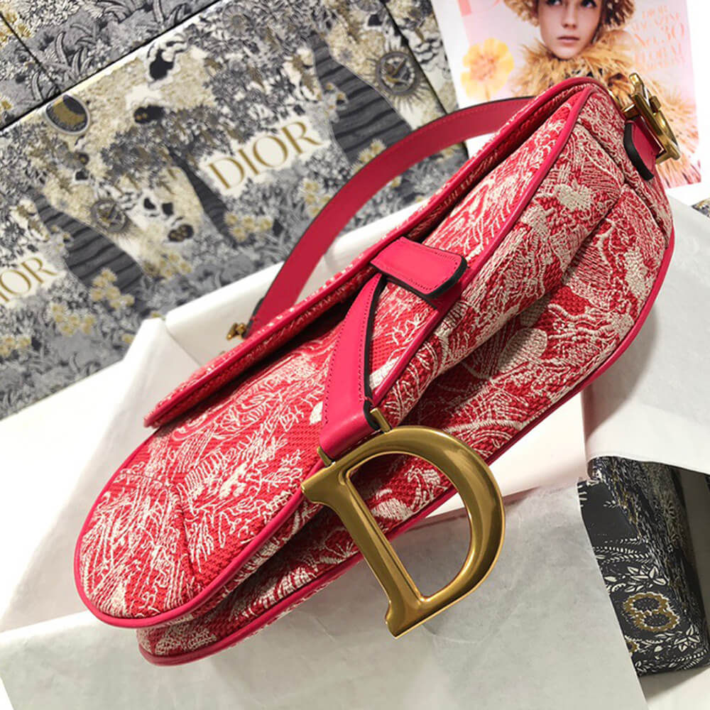 Dior SADDLE BAG - Image 4