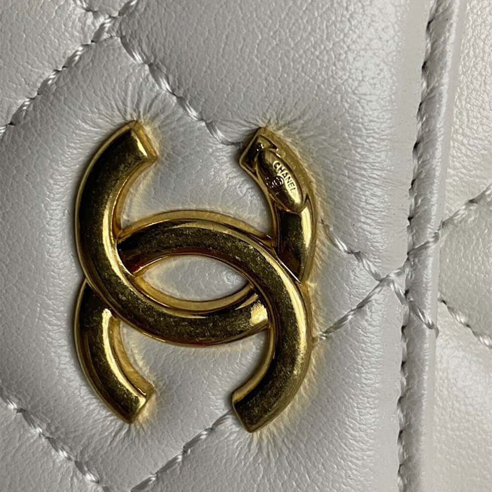 CHANEL Mini Camera Case - Image 8