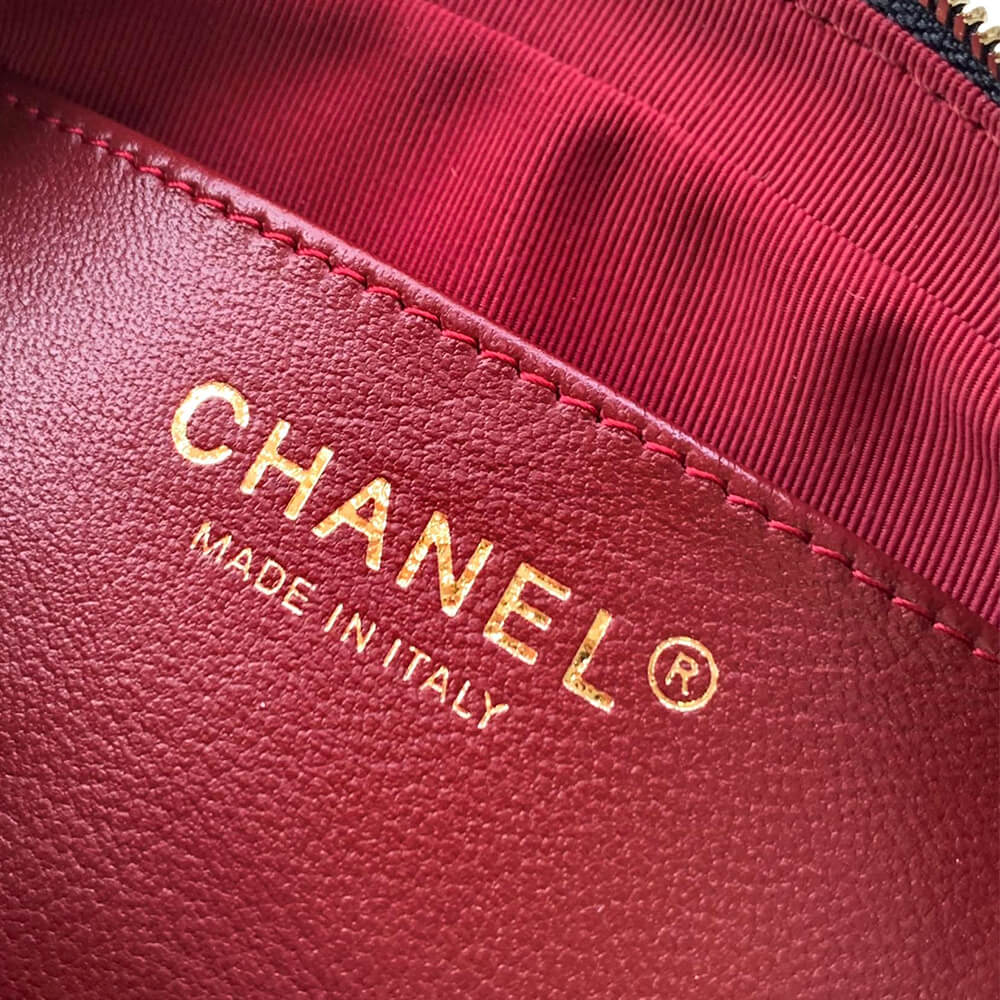 CHANEL Mini Camera Case - Image 5