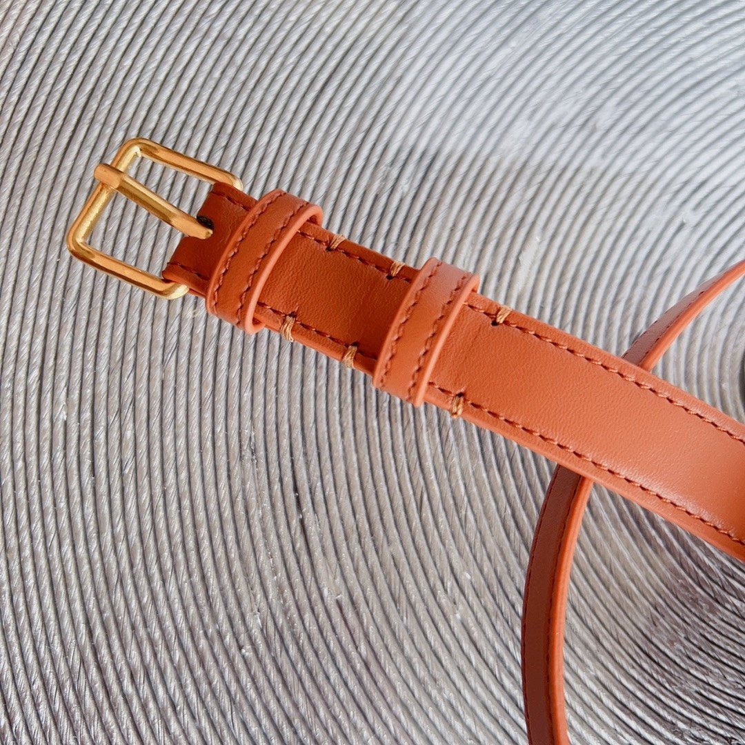 CELINE Tan Triomphe Belt Bag - Image 9