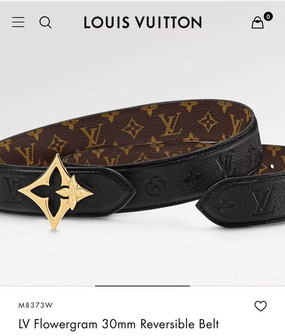 LV Canvas Gold Heart Belt - Image 4