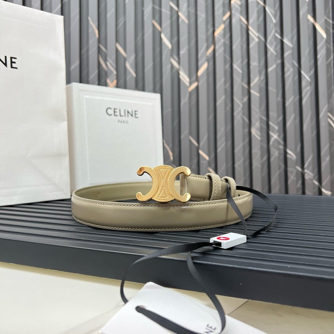 CELINE Beige Triomphe Gold Belt - Image 3