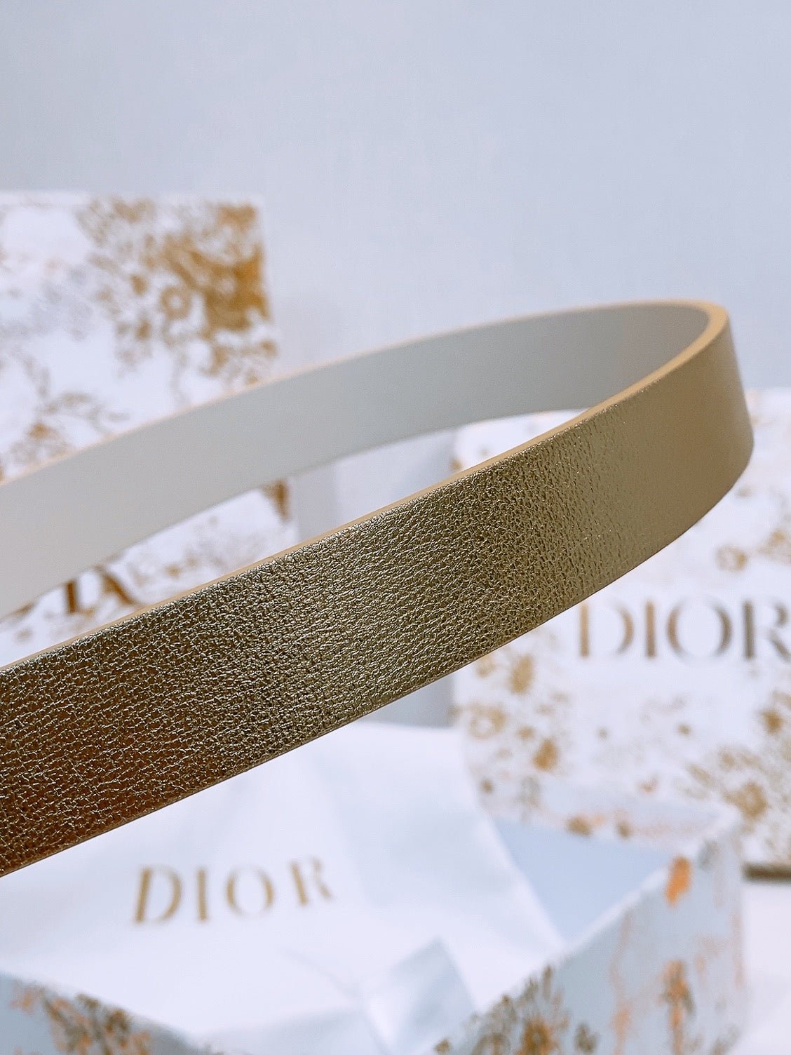 Dior Metallic Leather Belt - Image 6