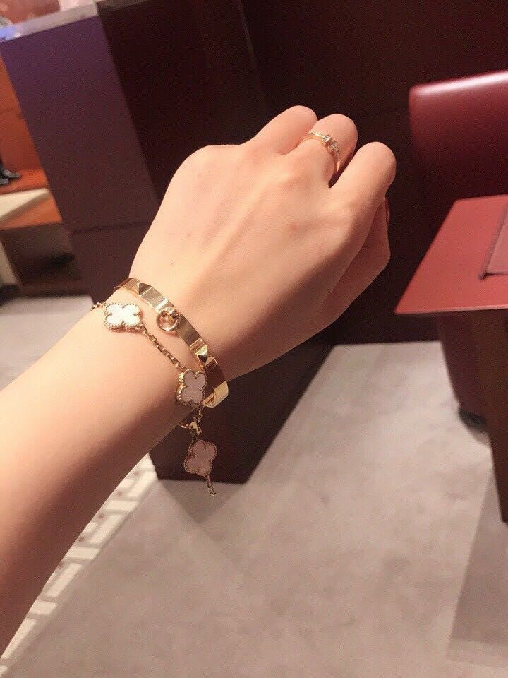 Hermès Rose Gold Plated de Chien Bracelet - Image 8