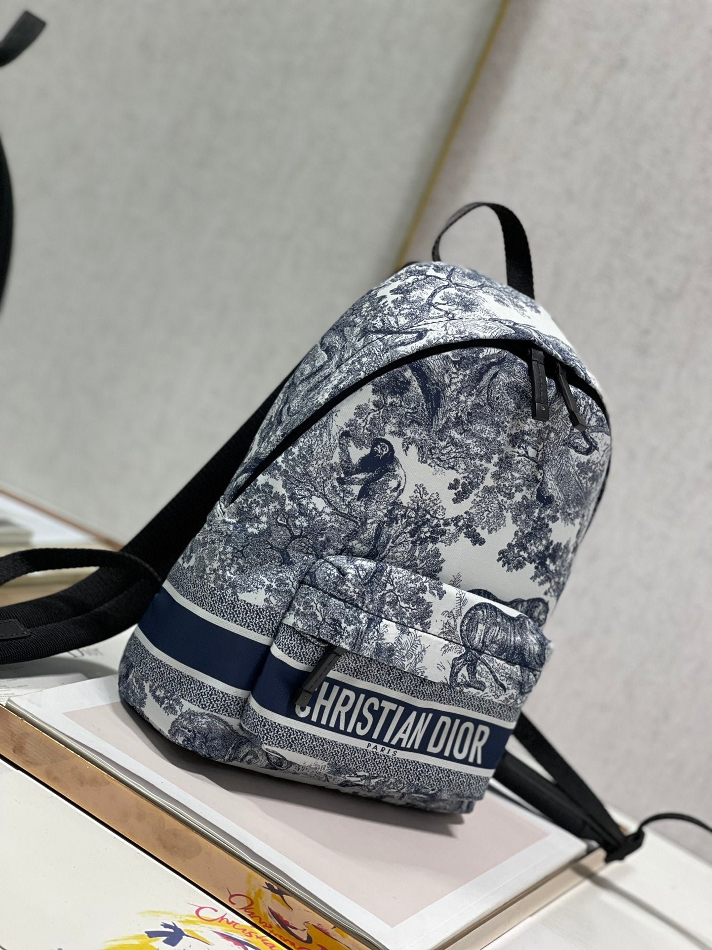 Dior Travel Backpack White Blue Hand Bag - Image 3