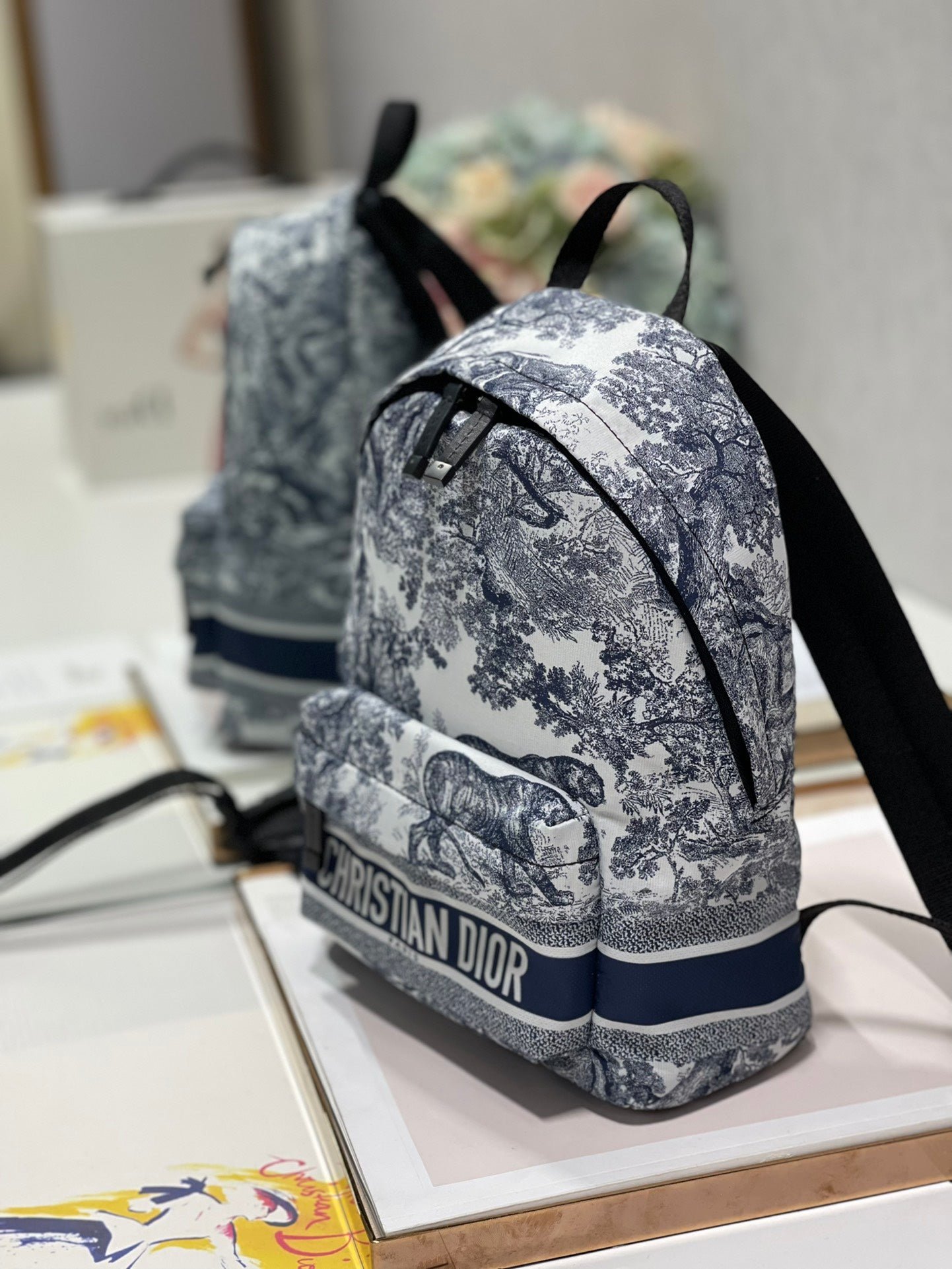 Dior Travel Backpack White Blue Hand Bag - Image 4