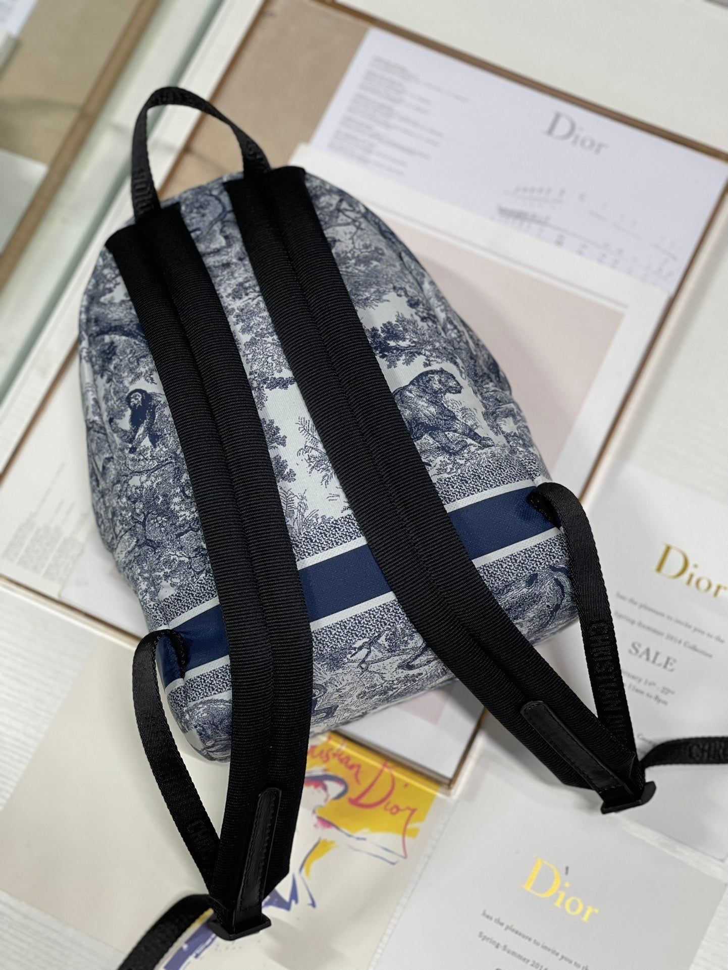 Dior Travel Backpack White Blue Hand Bag - Image 5