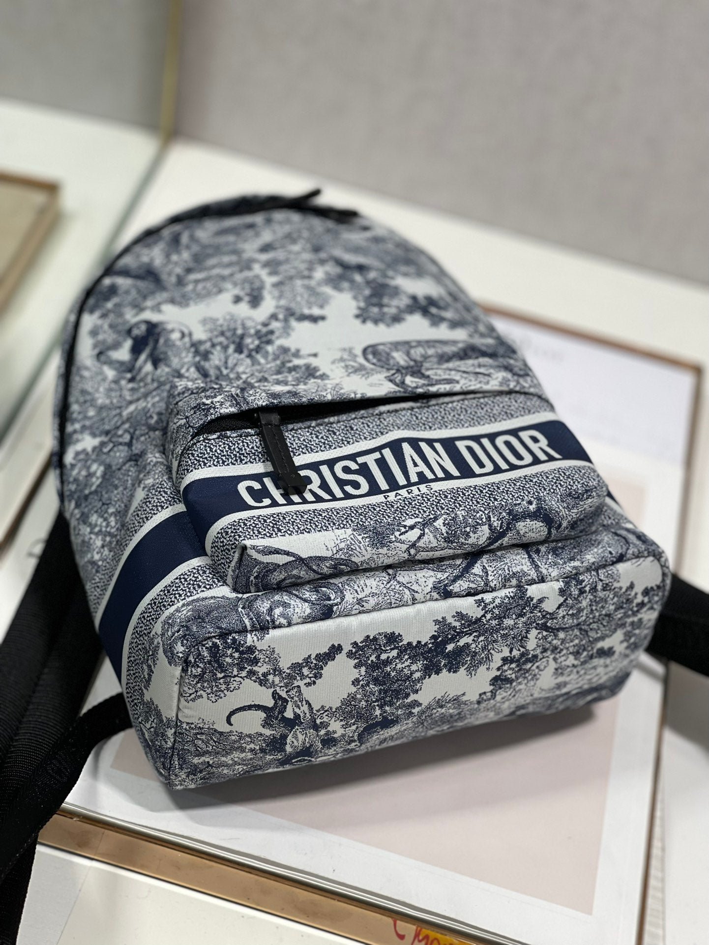 Dior Travel Backpack White Blue Hand Bag - Image 9