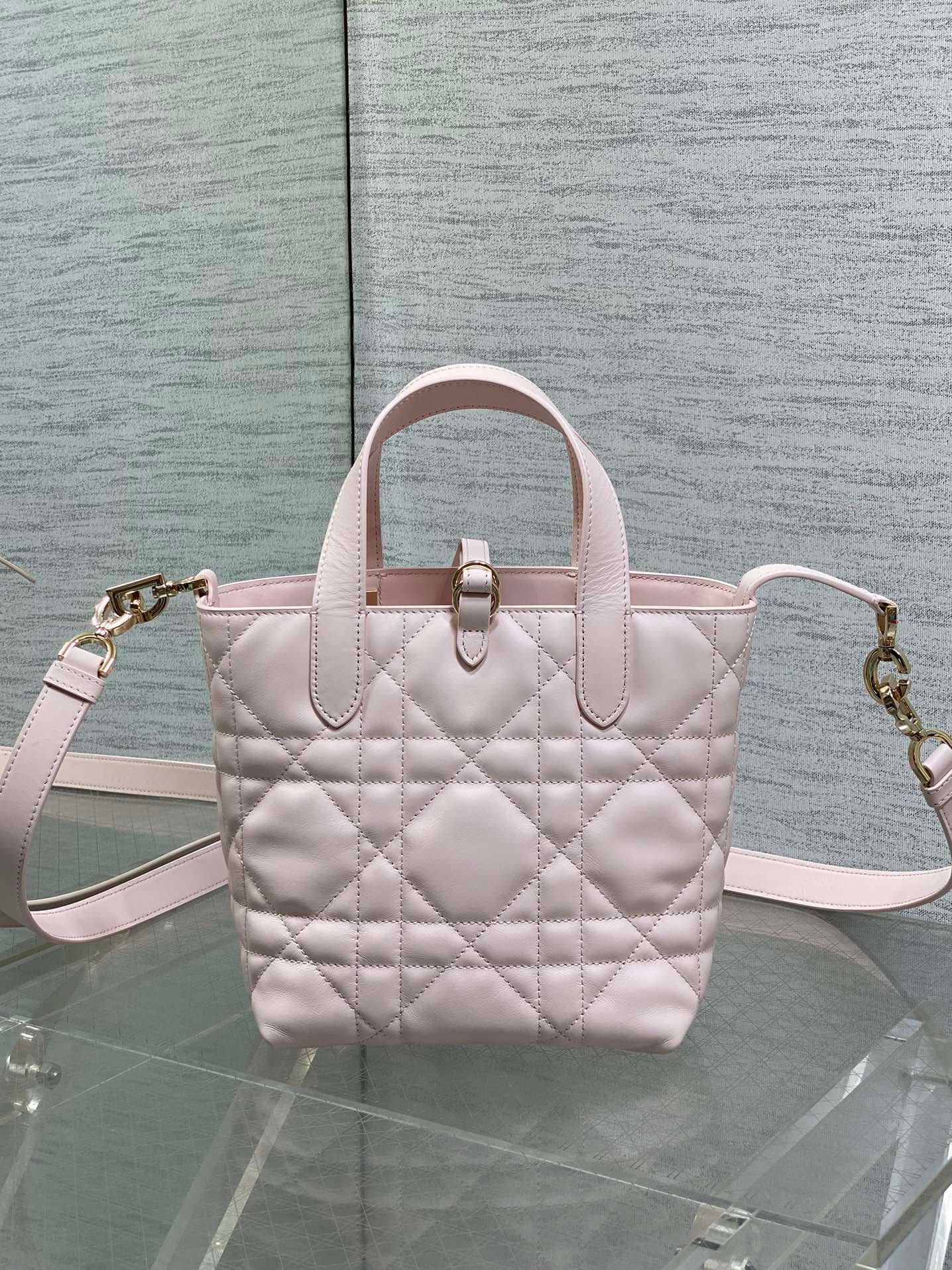 Dior Toujours Vertical Bag Pink Lambskin with Lucky - Image 3
