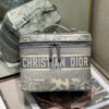 Dior Vanity Series 25 Pastel Gray Oblique Jacquard Case