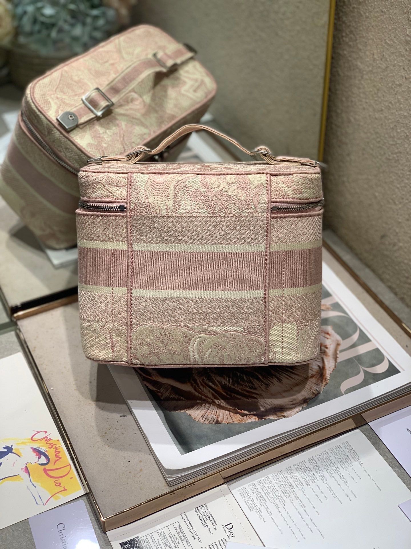 Dior Vanity Series Peach Pink Oblique Jacquard Bag - Image 5
