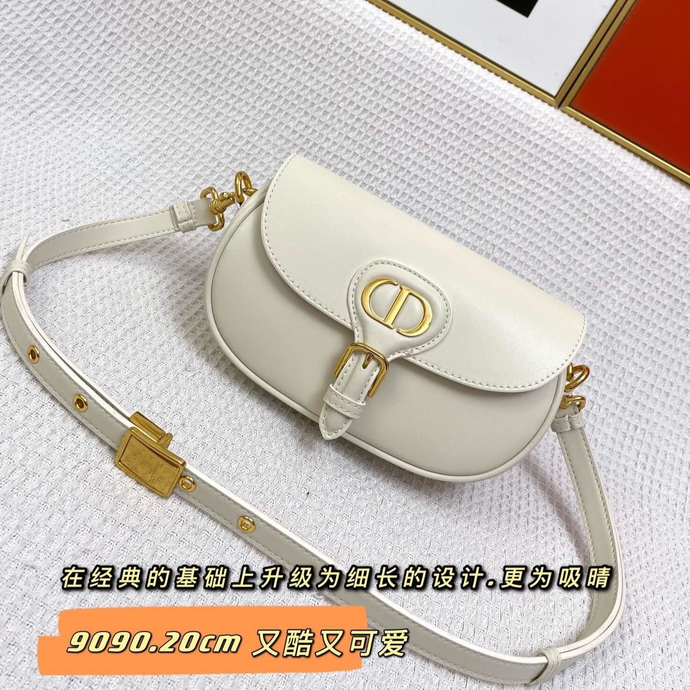 Dior Mini Bobby East-West 20 White Calfskin Bag