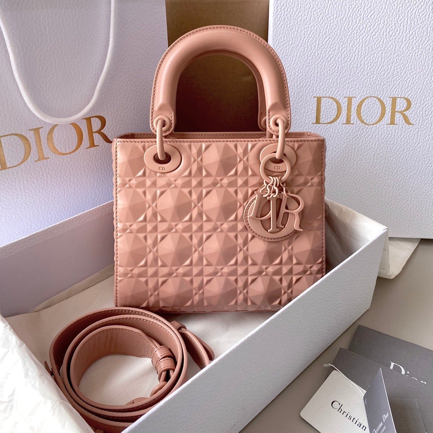 Dior Lady Series Blush UltramatteLambskin Handbag