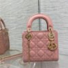 Dior Mini Lady Sakura Calfskin Crossbody Bag