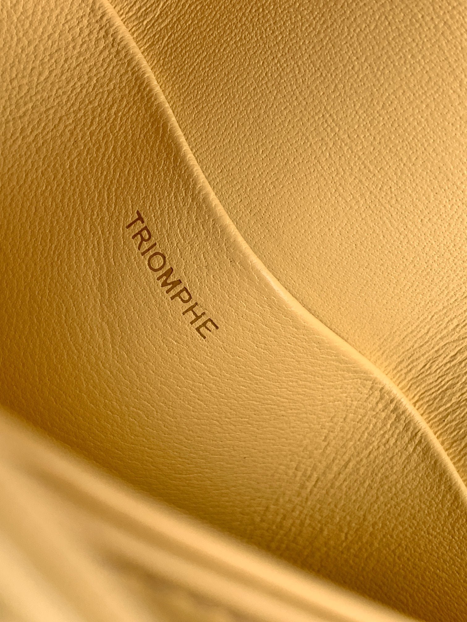 Celine Besace Clea Pale Yellow Chain Bag - Image 7