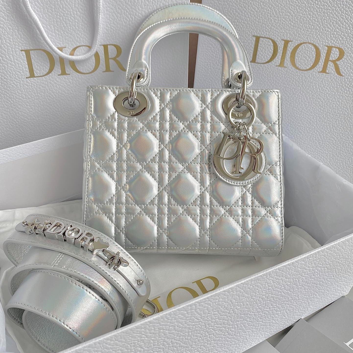 Dior Medium Lady 20 Lambskin Bag Silver