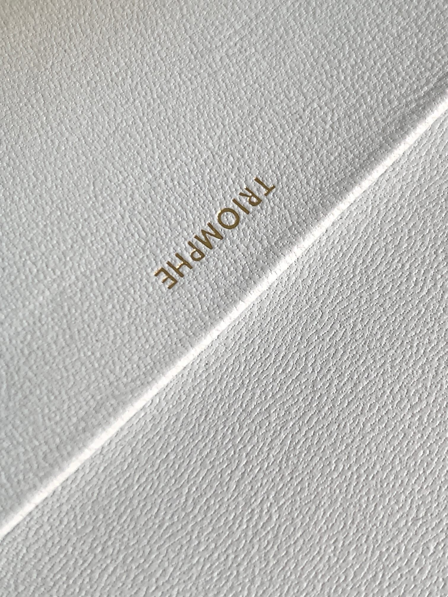 Celine Triomphe 20 Cowhide Bag - Image 9