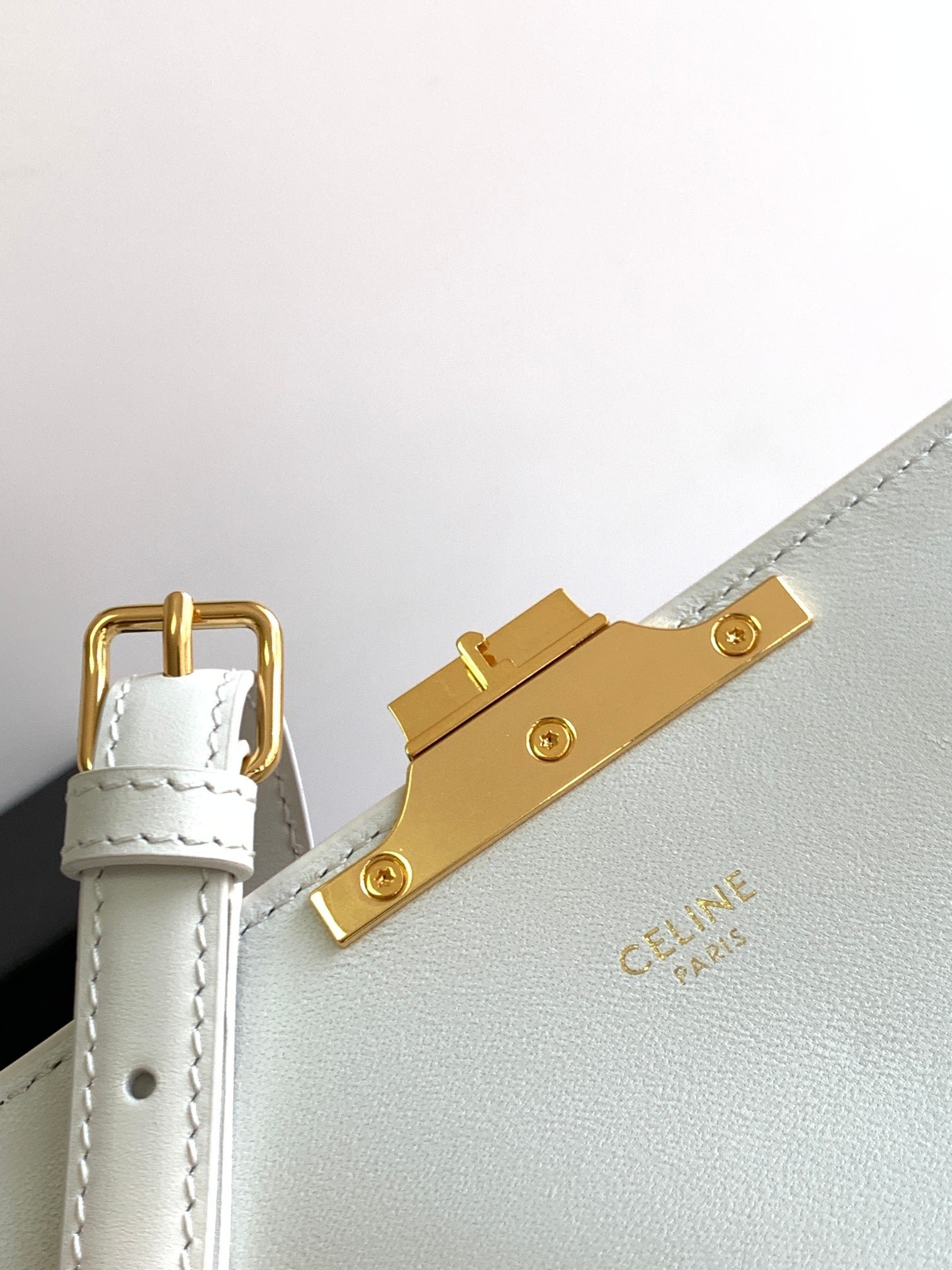 Celine Triomphe 20 Cowhide Bag - Image 7