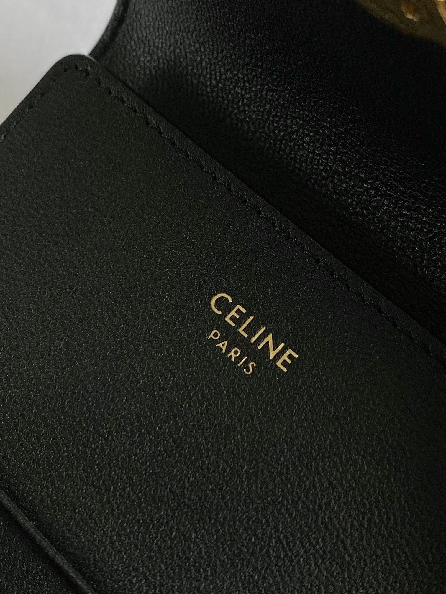CELINE Light Blue Triomphe Wallet - Image 6