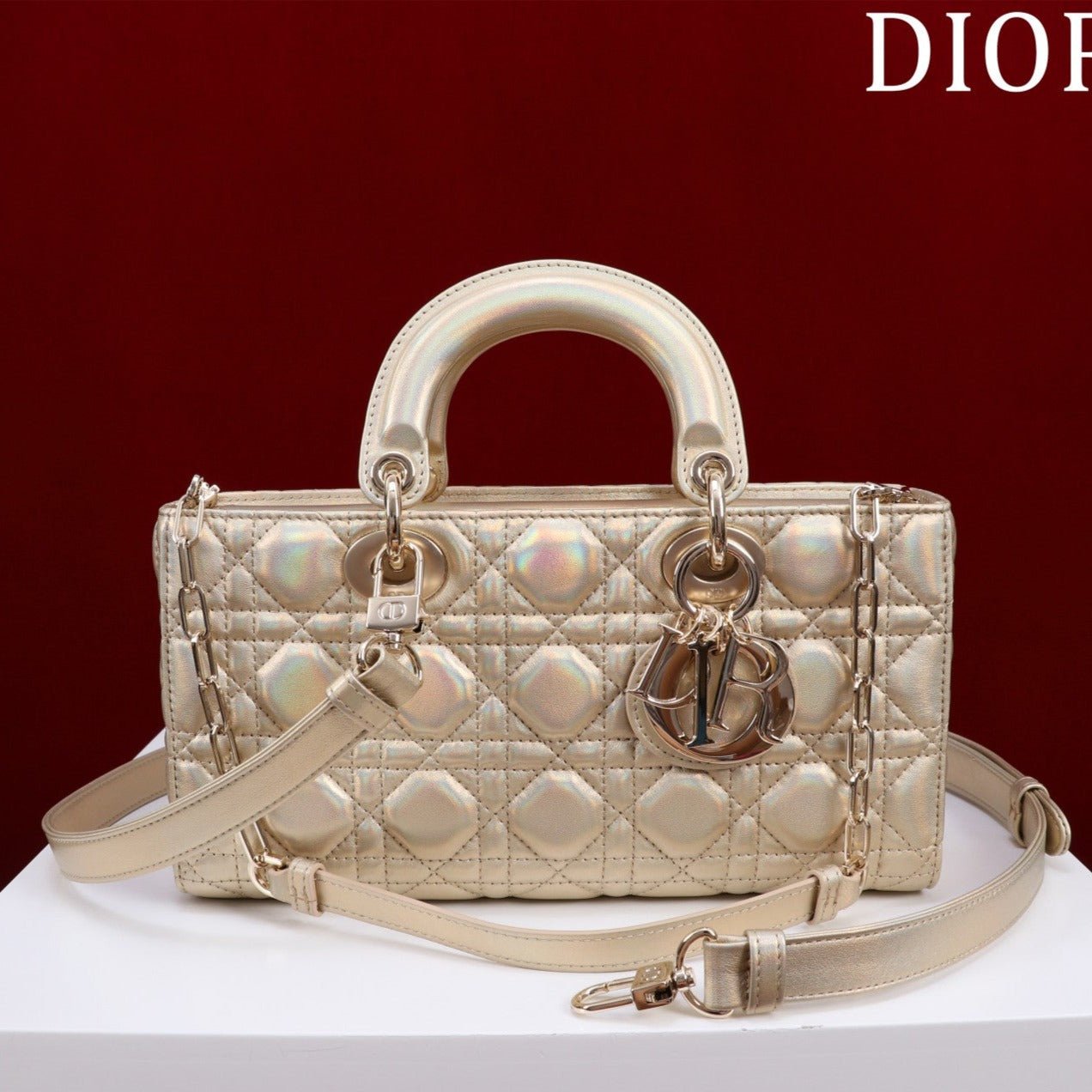 Dior Lady D-Joy 26 Beige Metallic Lambskin Handbag