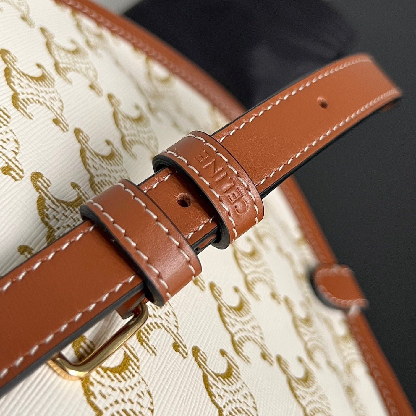 Celine Monogram Saddle 18 Bag - Image 5