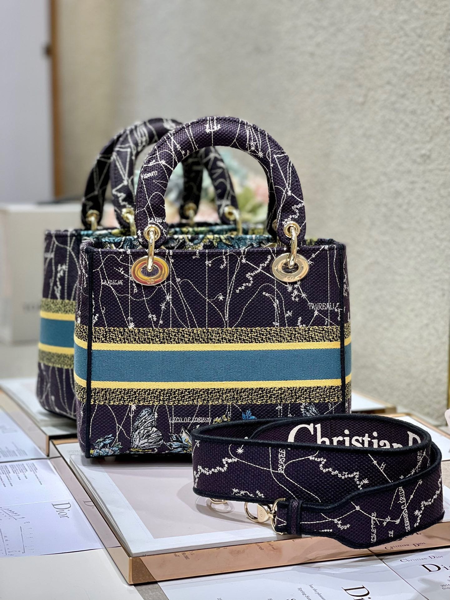 Alternative view of Dior Lady Dior Series Constellation Printed Bag