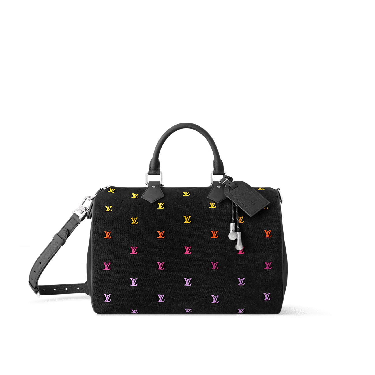 Louis Vuitton Speedy 40 Embroidered