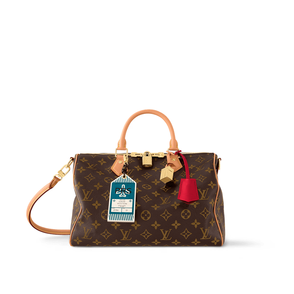 Louis Vuitton Speedy Soft 30 Crafty