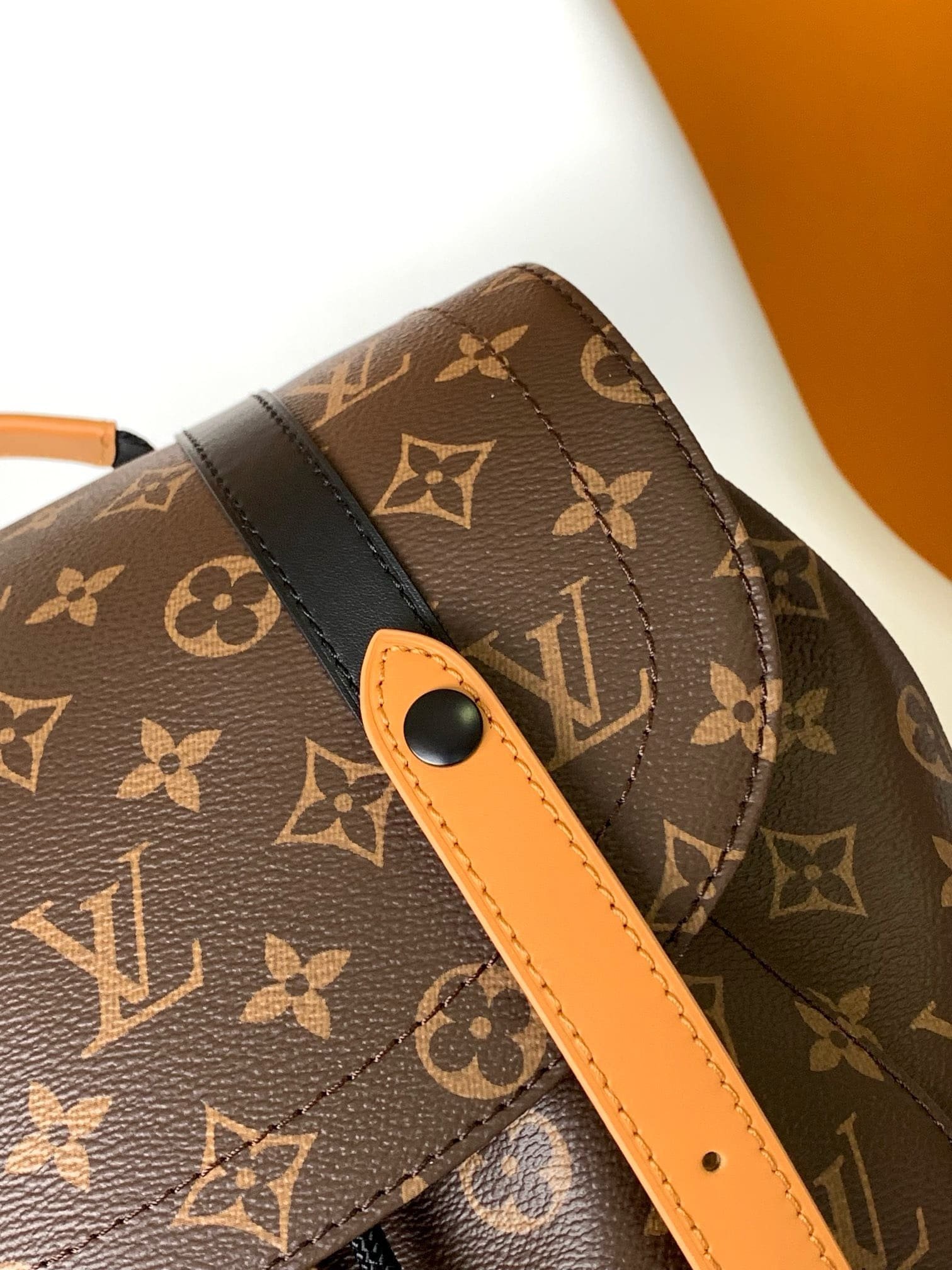 Louis Vuitton Christopher MM Macassar - Image 6