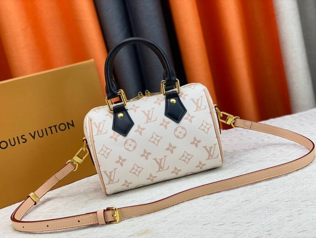 Louis Vuitton Cruise 24 Dune Coated Canvas - Image 6