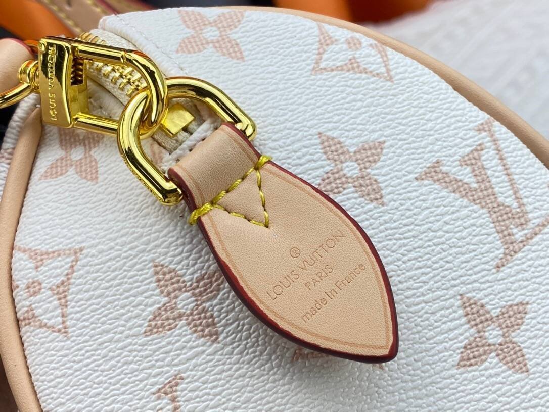 Louis Vuitton Cruise 24 Dune Coated Canvas - Image 8