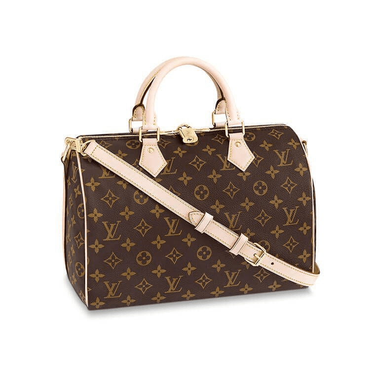 Louis Vuitton Speedy30 Heritage Classic Monogram Canvas