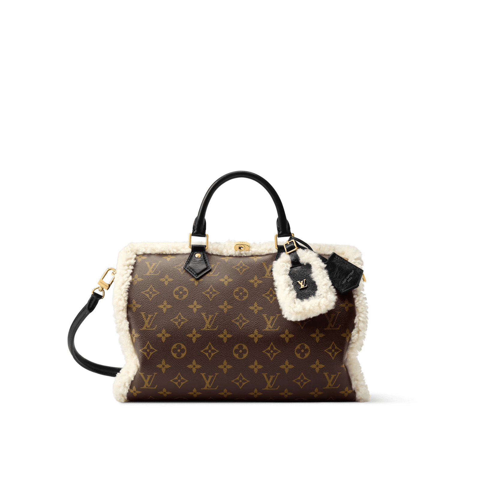 Louis Vuitton Speedy Soft 30 Monogram