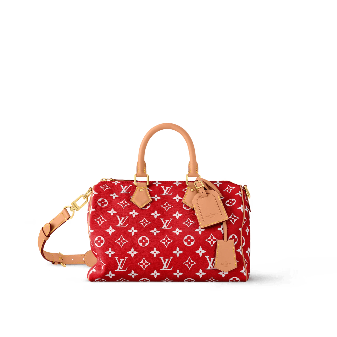 Louis Vuitton Speedy P9 Bandoulière 30