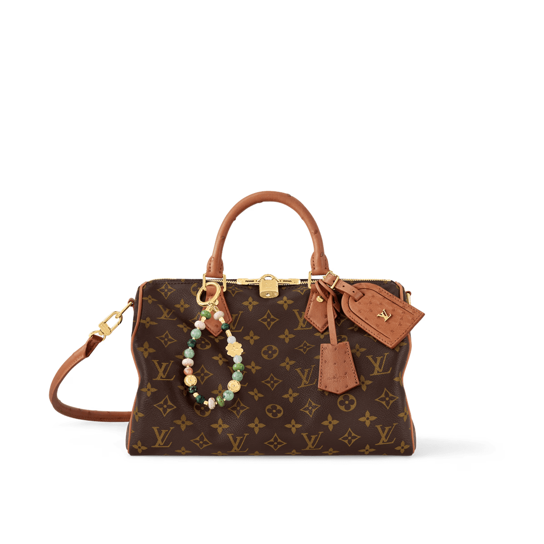 Louis Vuitton Speedy Soft 30 Monogram