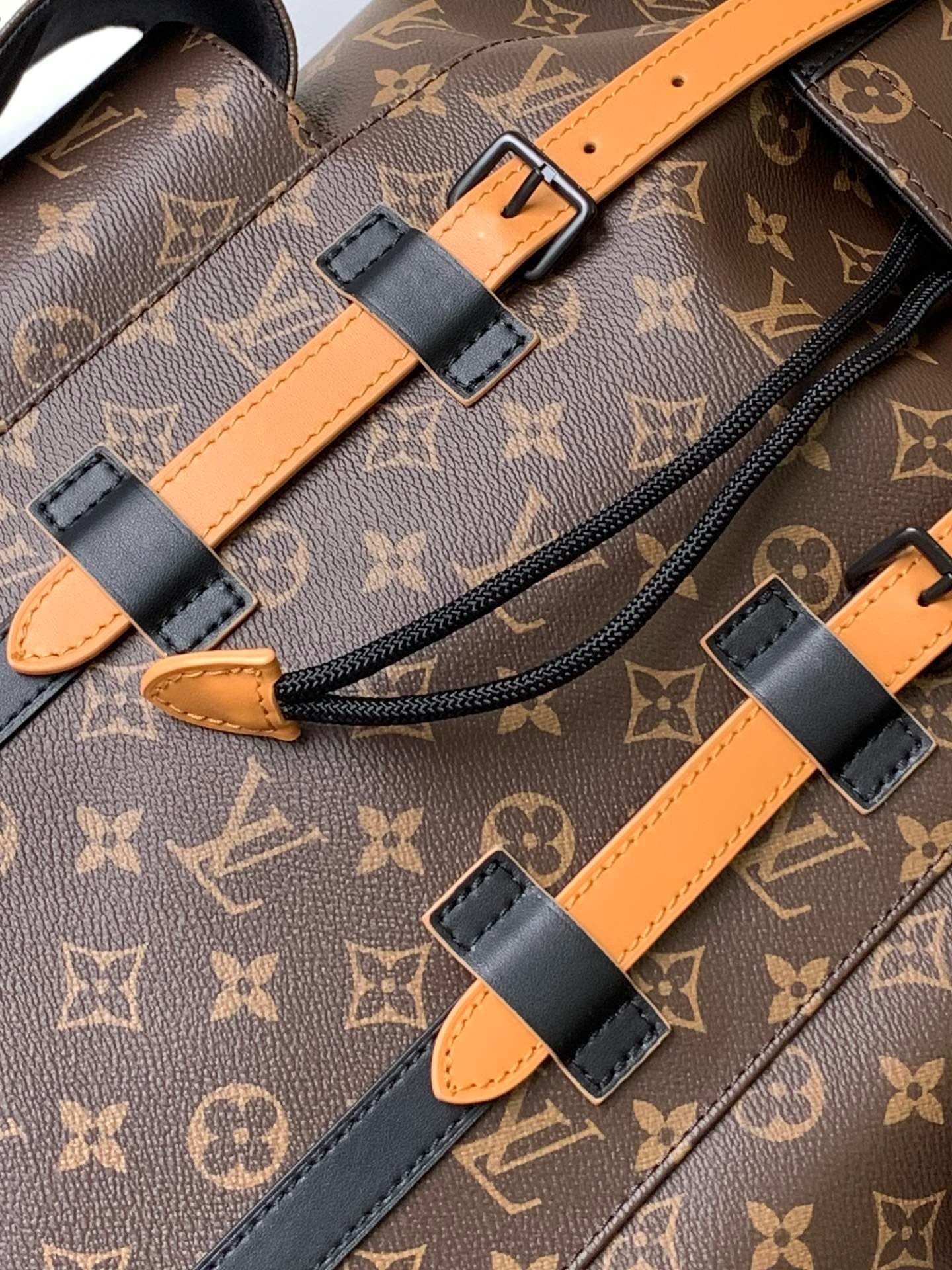 Louis Vuitton Christopher MM Macassar - Image 8