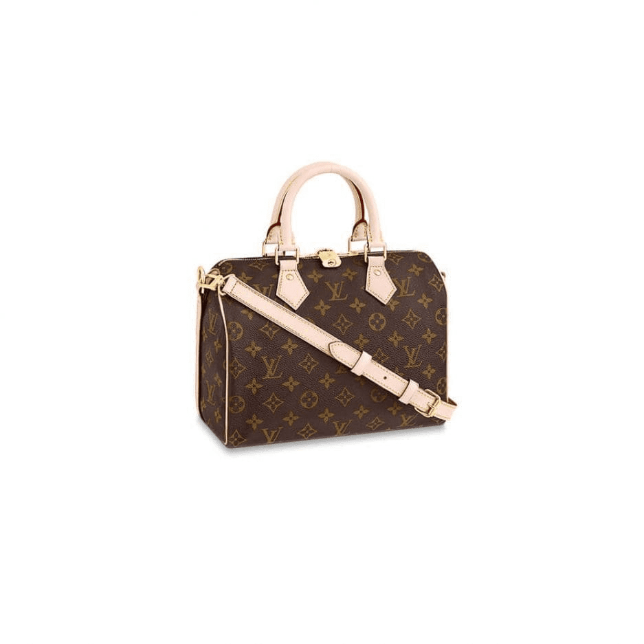 Louis Vuitton Speedy 25 Classic Monogram