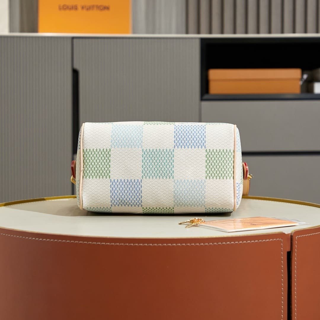Louis Vuitton Speedy 20 Damier Giant - Image 4