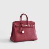 Hermès Birkin25 Togo Rubis Palladium Hardware
