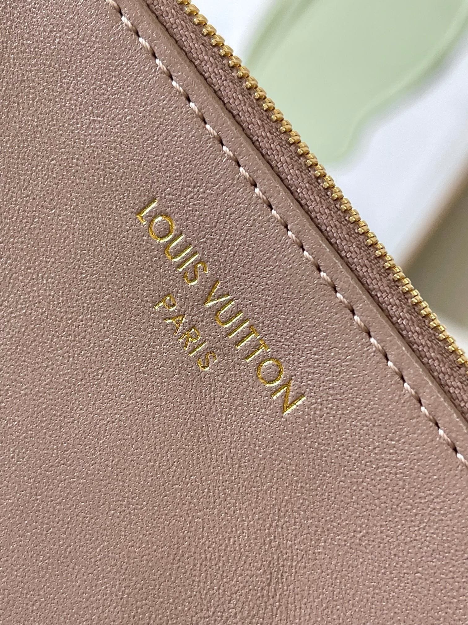 Louis Vuitton Coussin Hobo MM Galet - Image 7