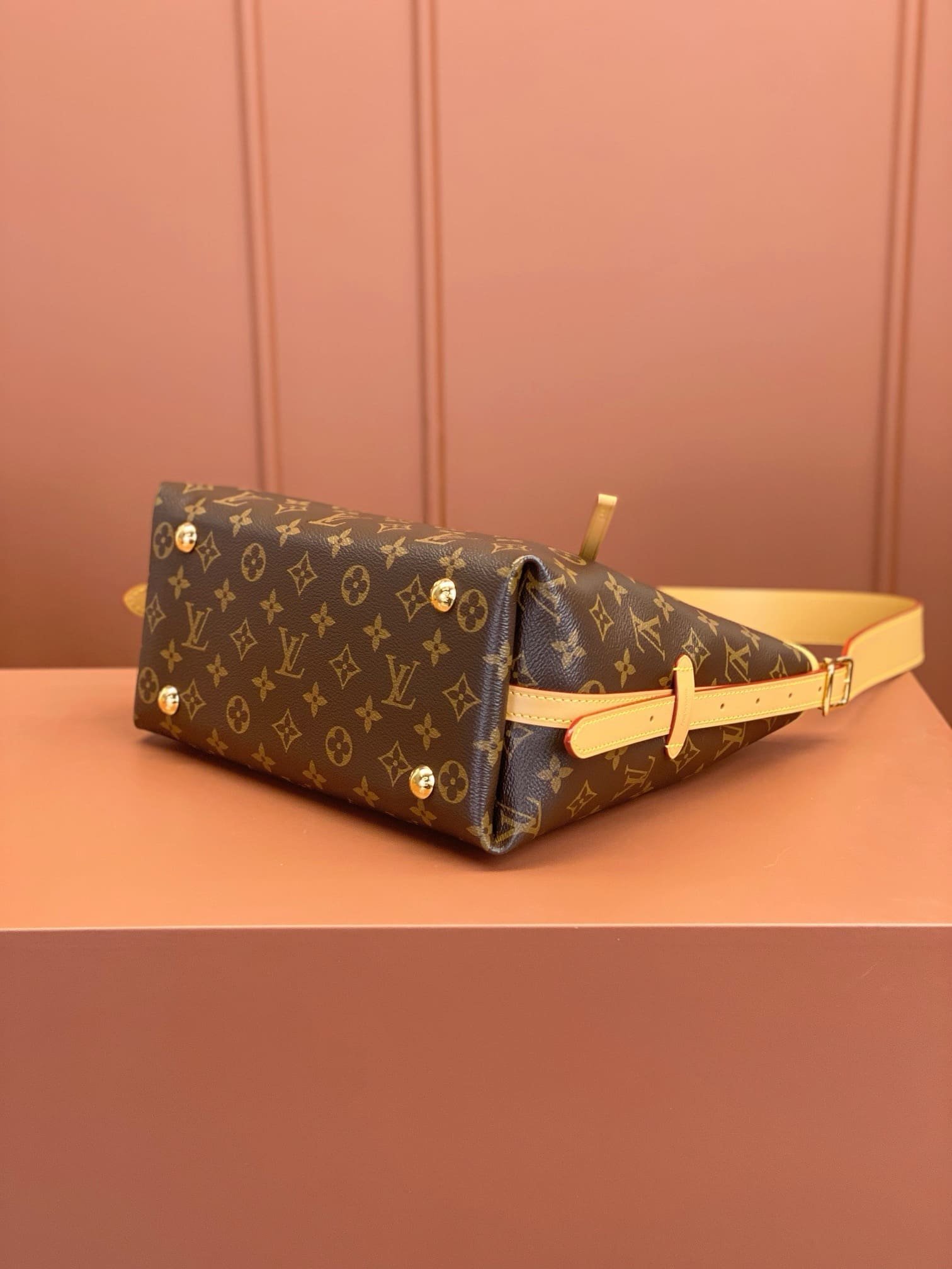 Louis Vuitton CarryAll PM Monogram - Image 7