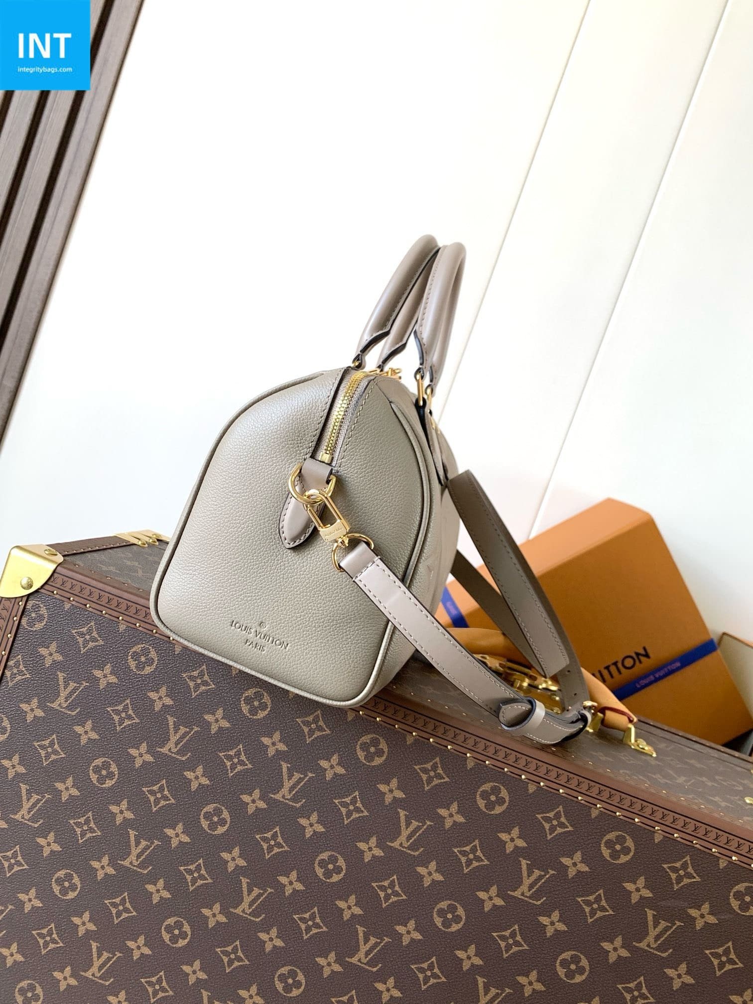 Louis Vuitton Speedy 25 Embossed Cowhide - Image 8